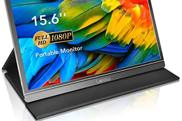Portable Monitor